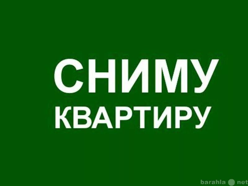 Сниму квартиру или дом на длительный срок. Сниму квартиру. сниму. сниму квартиру картинка. срочно сниму.