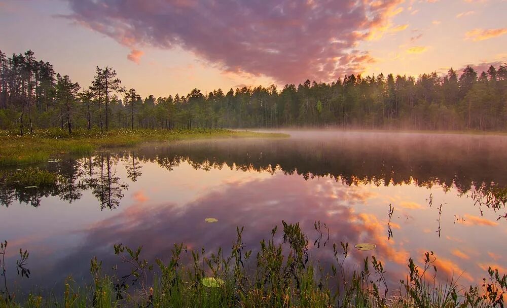 Озеро кивач. Озеро кивач карелия. заповедник кивач озера. заповедник кивач в карелии. дарвинский заповедник лес.