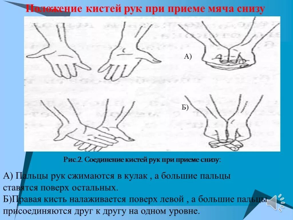 Варианты соединения кистей и пальцев при приеме мяча снизу. Соединение кистей рук при приеме. Соединение кистей рук при приеме снизу двумя руками. Положение рук при волейболе. Позиция снизу