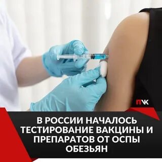 Проверить прививка