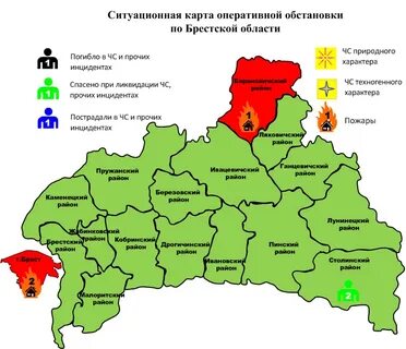 Куплено брестская область