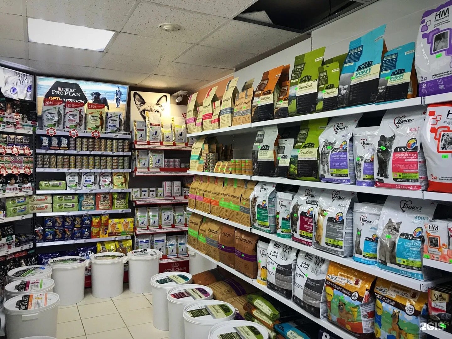 матроскин зоомагазин интернет магазин екатеринбург. матроскин зоомагазин интернет магазин екатеринбург. кот матроскин зоомагазин екатеринбург. матроскин зоомагазин екатеринбург. матроскин зоомагазин интернет магазин екатеринбург.
