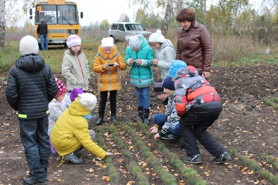 Сайт министерства лесного пензенской области. Сердобский лесхоз Пензенской области сотрудники. Шемышейское лесничество Пензенской области лесничие. Сосновоборск Пензенская область лесхоз. Министерство лесного хозяйства Пензенской области.