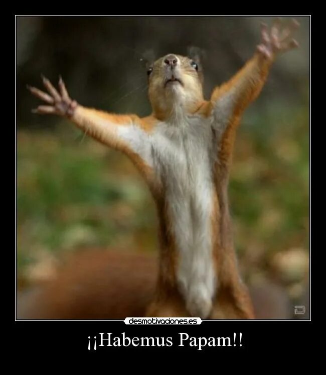 прикольное прощание. прощальный мем. веселое прощание. картинка смешная прощай. картинка смешная прощай.