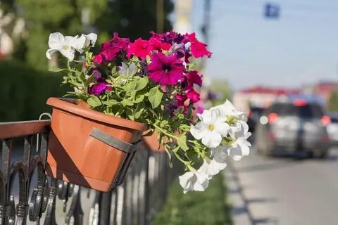 Цветок работала