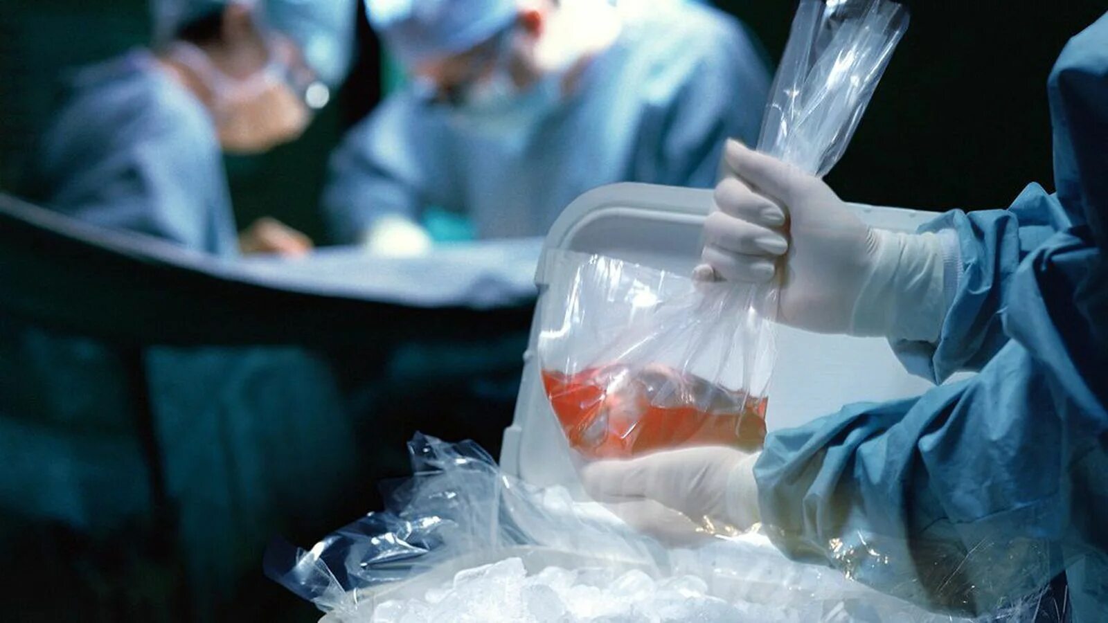 Донорство сердца. Трансплантация органов и тканей. Консервирование тканей и органов. Трансплантация органов человека.