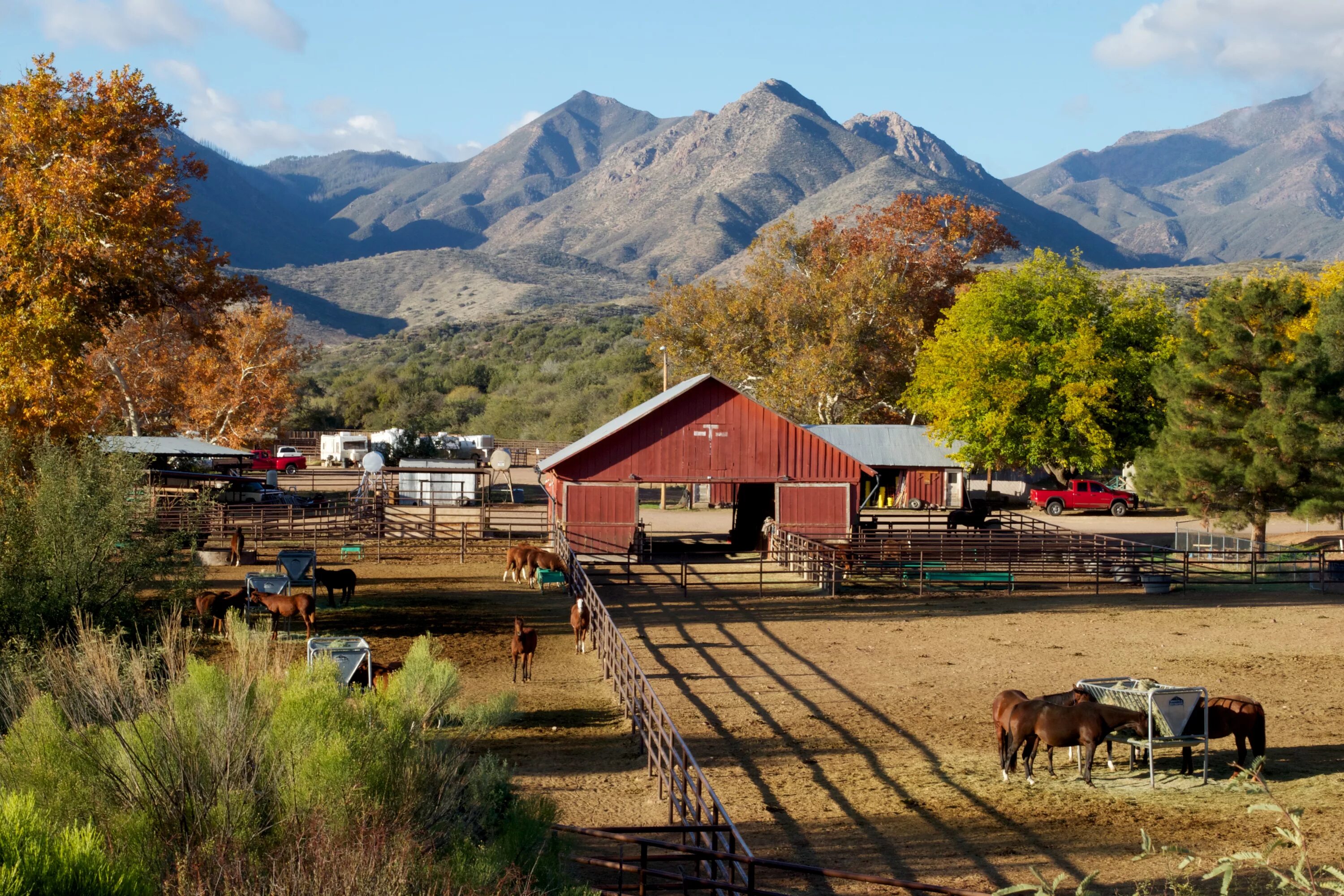 Terry Bradshaw selling his 144-acre Oklahoma ranch. Take a look inside Fox Busin