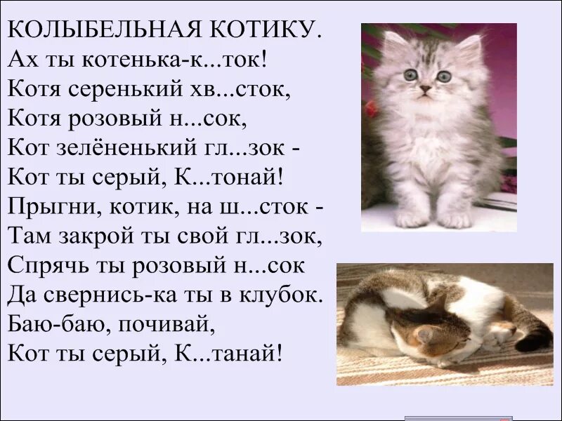 Колыбельная для котов. Колыбельная про кота. Колыбельная для котика. Колыбельная кошки текст. Слова песни про кота