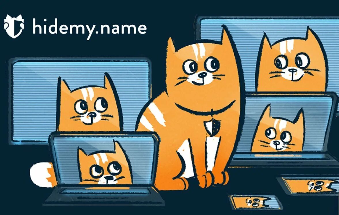 Hidemyname. VPN С котиком. Хайдми. Hidemyname VPN.