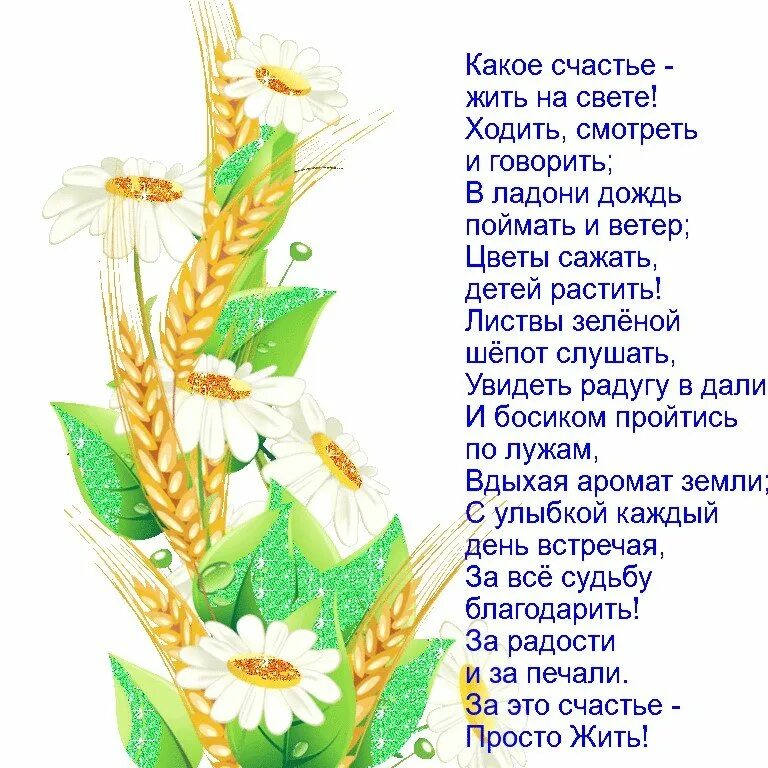 радостное стихотворение. стихи о жизни и счастье. счастье просто жить стихи. стихотворение тема счастья. стихи о женщине.
