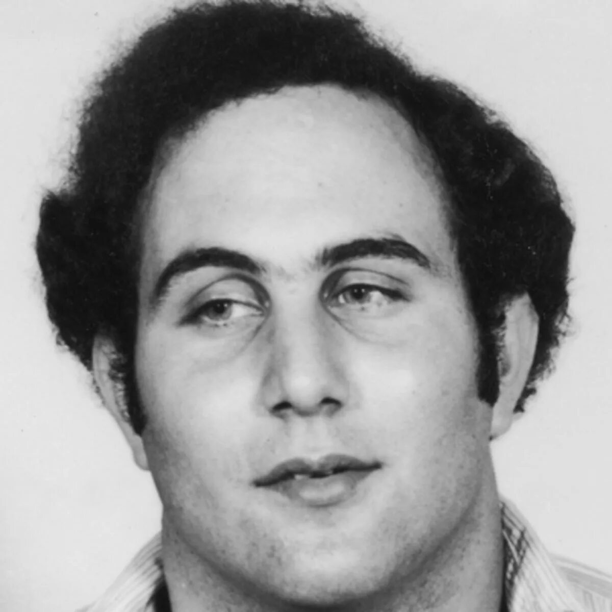 David richard berkowitz. Дэвид берковиц сын сэма. Дэвид берковиц жертвы. Дэвид берковиц серийные убийцы. David berkowitz.