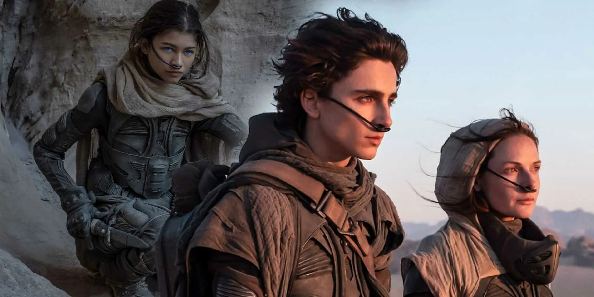 Дюна 2 дата выхода в мире. Dune 2025. чани дюна 2025. дюна 2025. дюна фильм 2025.