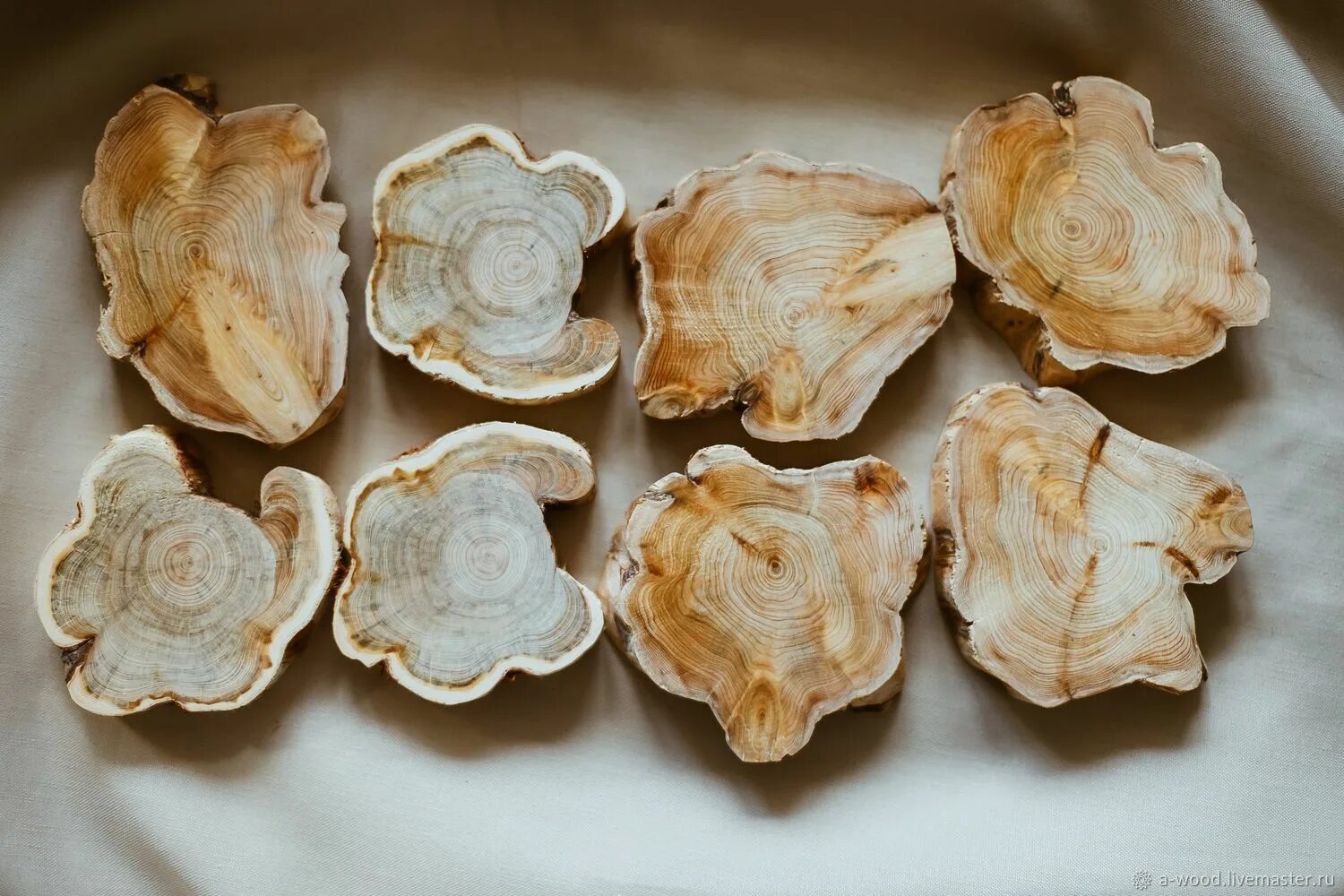 из спилов можжевельника. из спилов можжевельника. спил дерева можжевельника. спил можжевельника. срез можжевельника.