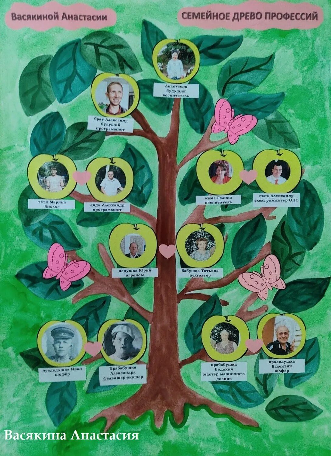 Семейное дерево профессий. Семейное дерево профессий. Генеалогическое дерево профессий семьи. Древо профессий моей семьи. Генеалогическое древо профессии моей семьи.