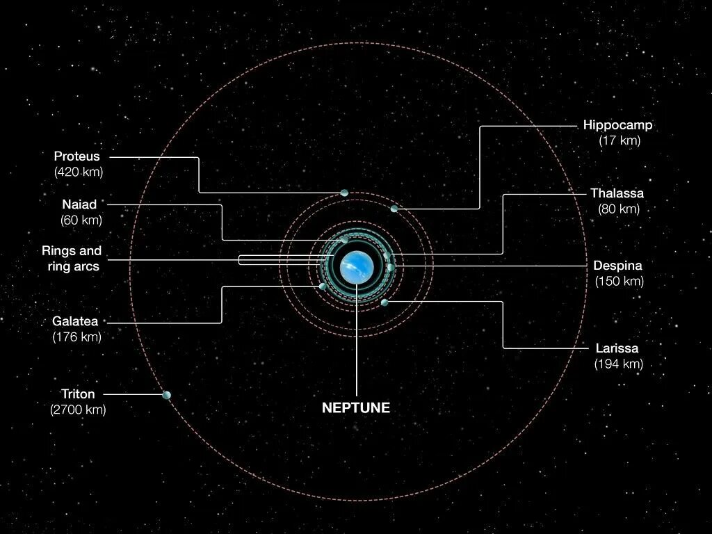 Нептун и плутон планеты. Орбита нептуна. Нереида спутник. Нептун на орбите. Орбита и вращение нептуна.