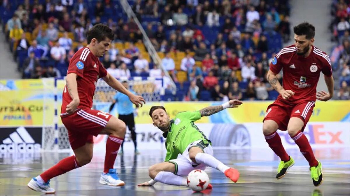 Лига чемпионов уефа. Футзал лига чемпионов финал четырех. Uefa futsal champions league. Лига чемпионов по футзалу. Лига чемпионов по футзалу.