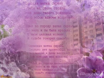 Сирени целую твои колени