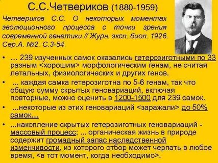 Н н четвериков