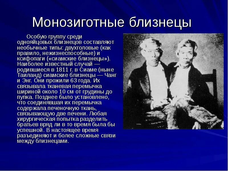 Чанг и энг сиамские. Многозиготовые Близнецы. Монозиготные полуидентичные Близнецы. Монозиготные Близнецы сиамские Близнецы. Монозиготные (гомозиготные).