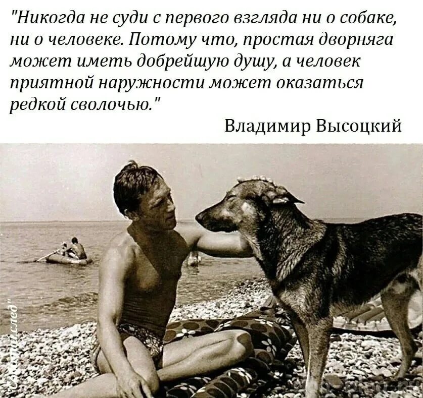 Русский человек никогда не. Высоцкий с собакой. Высоцкий про собаку и человека. Цитаты про собак. Кто собака для человека.