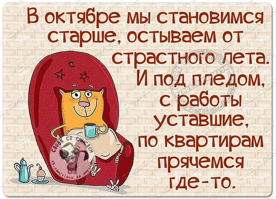 В октябре мы становимся старше. Высказывания про осеннюю хандру. В сентябре мы становимся старше остываем от страстного. Цитаты про октябрь. В октябре мы становимся.