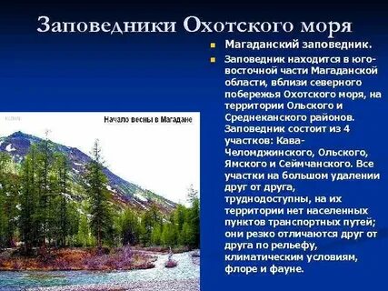 Экологические проблемы охотского моря и их решения