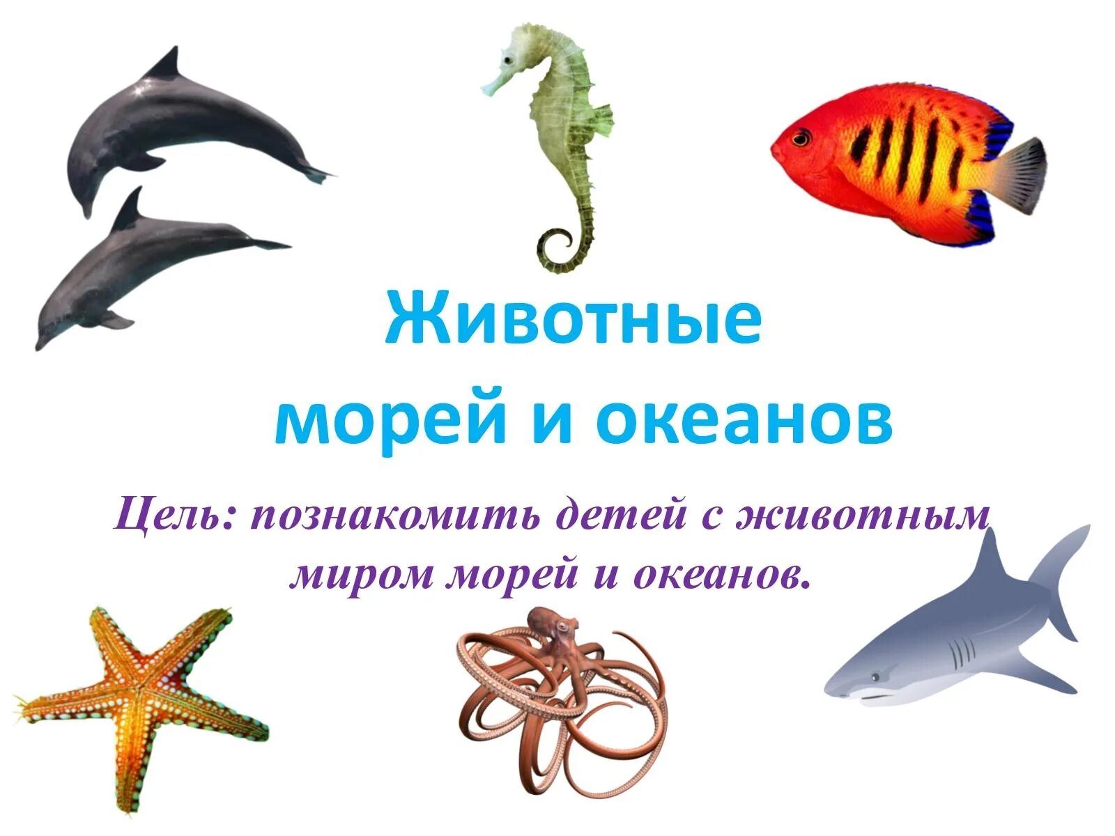 Larsen fh29. Подводные обитатели для детей. Плакат морские обитатели для детей. Животные морей и океанов для детей. Обитатели океанов для детей.