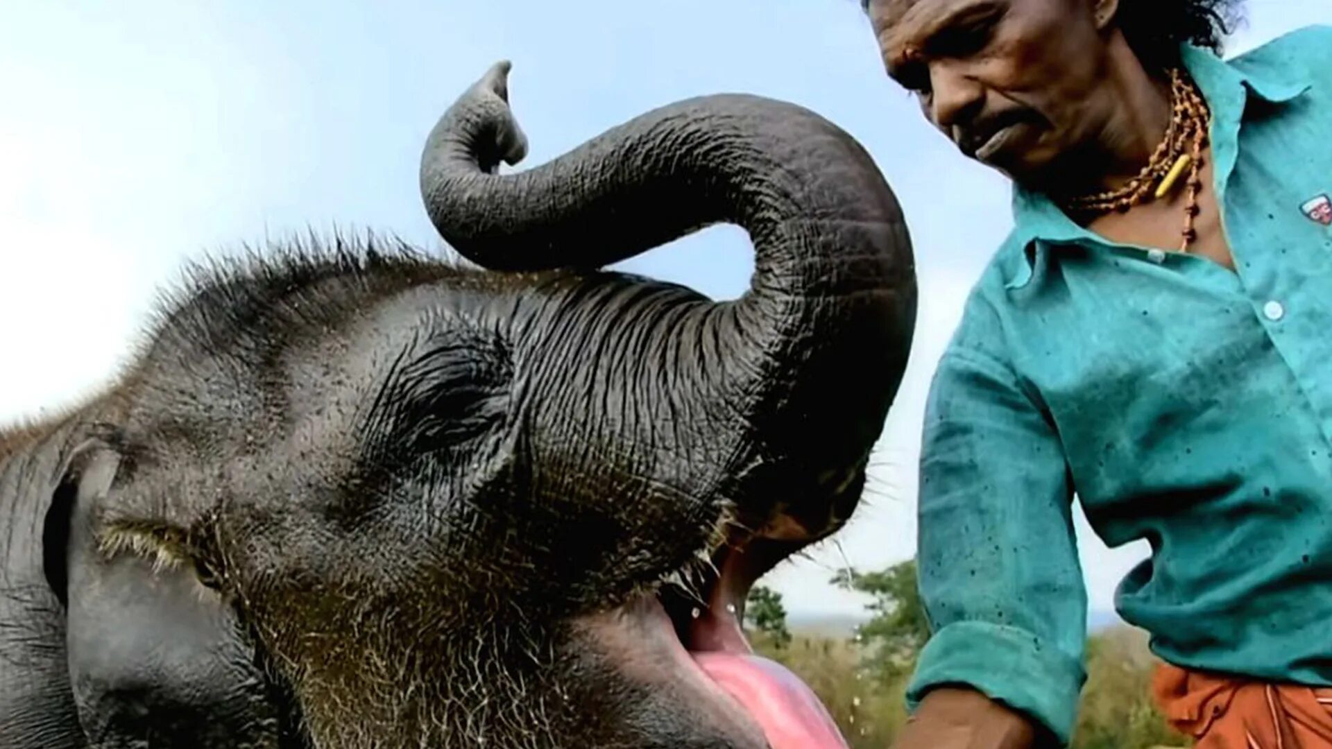 Слоник трейлер. The Elephant Whisperers (2022).