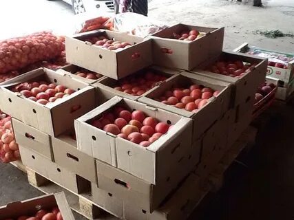 Работа на овощной базе