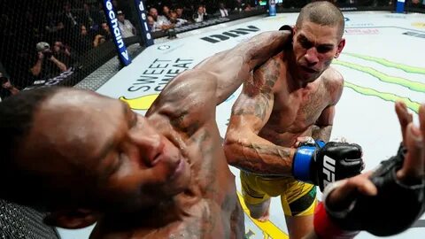Алекс перейра последний бой ufc