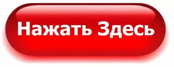 Покажи нажми картинки