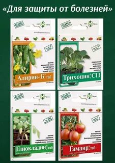 Трихоцин инструкция по применению
