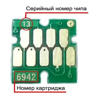Номер чипа