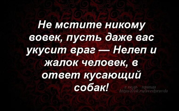 Что легче отомстить обидчику или. Афоризмы о мести и злобе. Цитаты про мстительность. Цитаты о мести. Цитаты про мстительных людей.