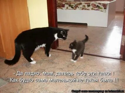 Я сам будто