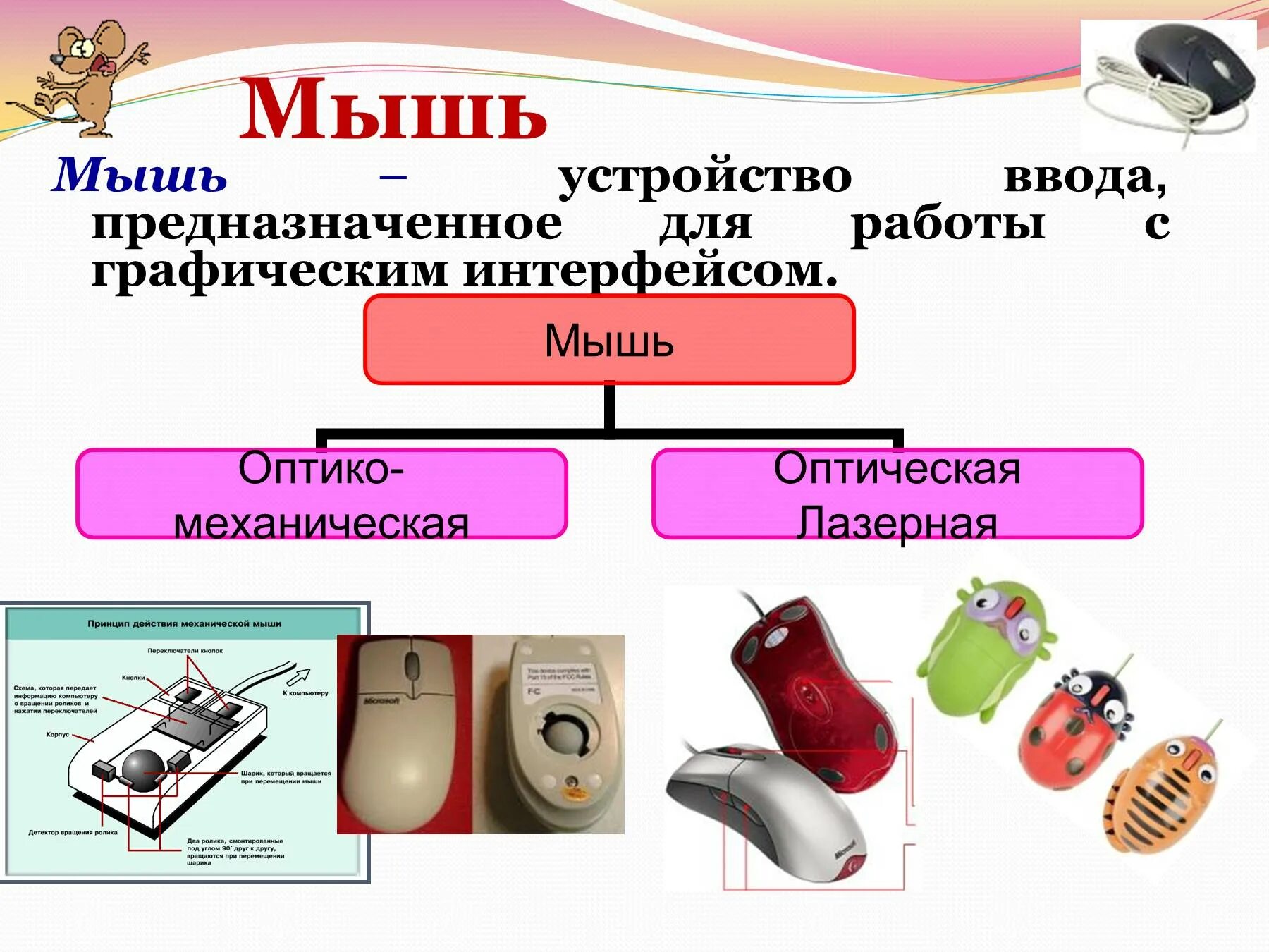 Что является устройством