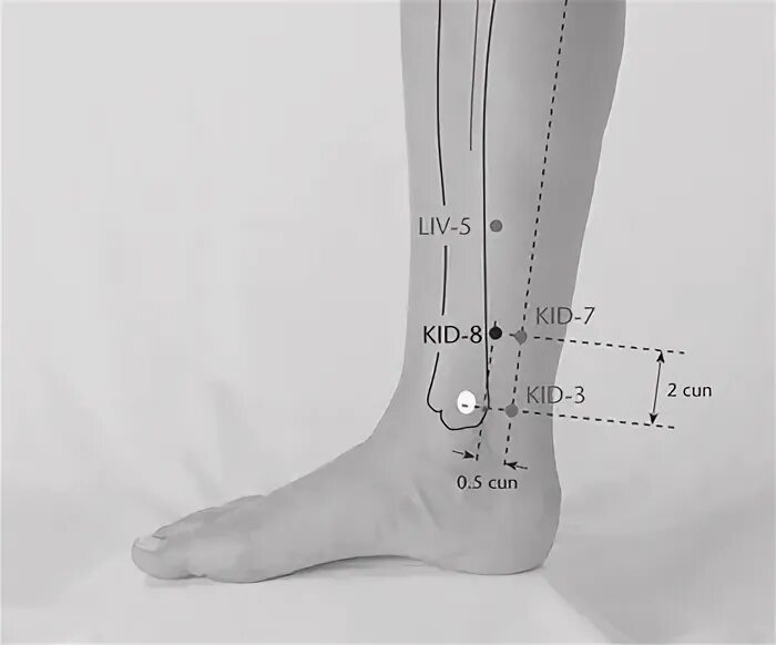 R 3 тай си точка акупунктуры. Точка р 7. R3 тай-си точка. P7 точка акупунктуры. Точка r7.