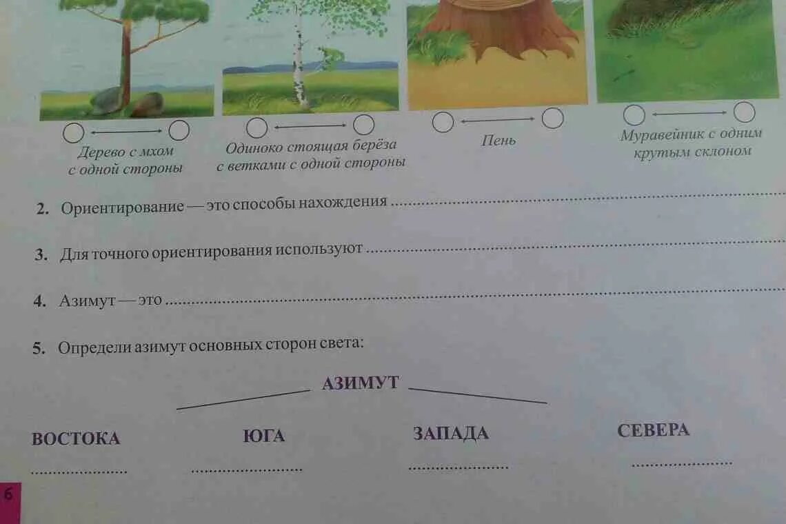 Ориентирование на местности рабочая тетрадь. Ориентирование на местности 2 класс задания. Ориентирование на местности карточки с заданиями. Задание на определение сторон света. Ориентирование на местности 2 класс окружающий мир задания.