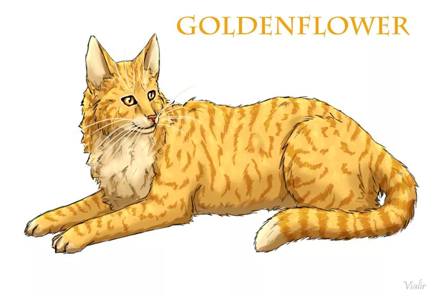 Коты воители львиногрив. Коты воители кленовница и веснушка. Коты воители златошейка арт. Коты воители песчаная буря аниме. Коты воители львиносвет.