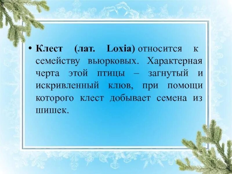 Обучающее изложение клесты 3 класс. Изложение клесты. изложение клесты 3 класс презентация школа россии. текст клесты. клесты изложение 3 класс текст.