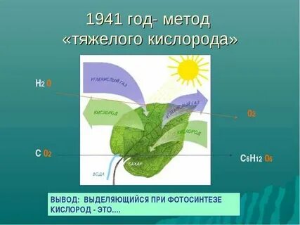 Выделение кислорода при фотосинтезе происходит в результате