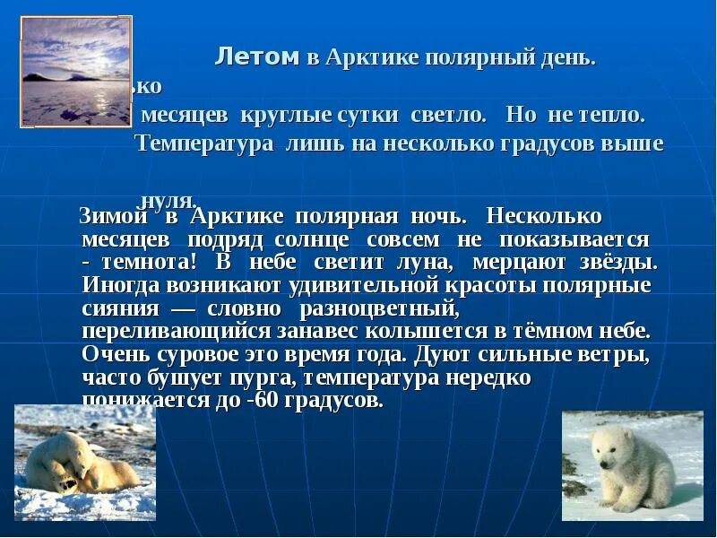 Несколько месяцев подряд. Несколько месяцев подряд. Полярная ночь длится. Несколько месяцев подряд. Несколько месяцев подряд.
