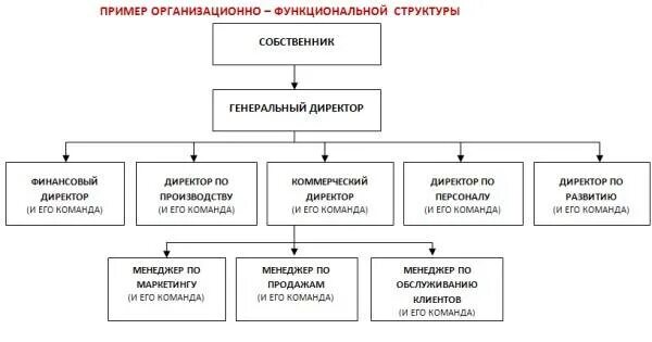Должность директор по развитию. Директор по развитию должностные обязанности. директор по развитию обязанности. функционал директора по развитию. руководитель по развитию бизнеса обязанности.