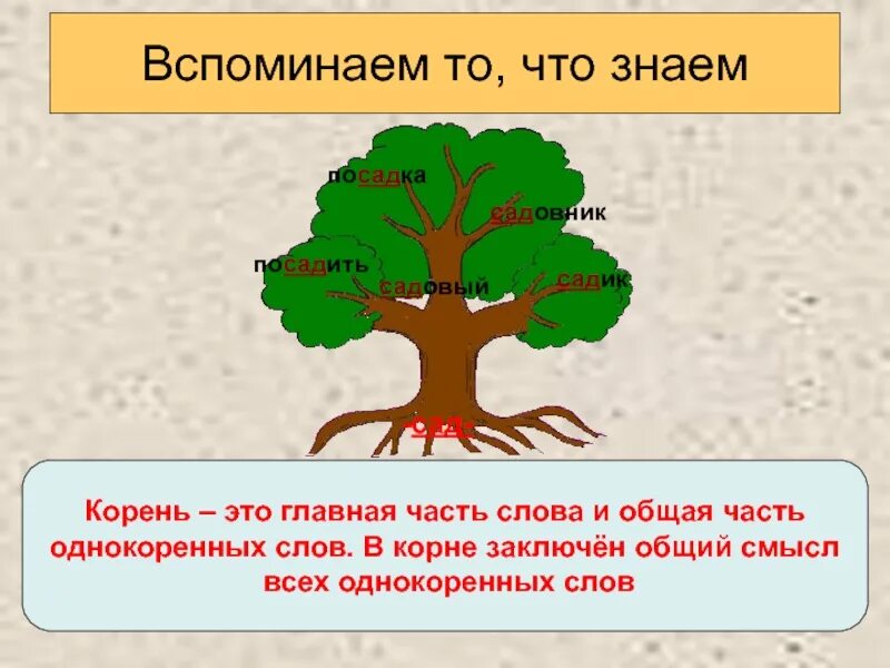 Значение слова корень. Однокоренные слова. Корень слова 2 класс. Однокоренные слова презентация. Корень слова тема урока.