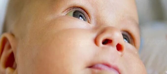 Белок глаз у новорожденных