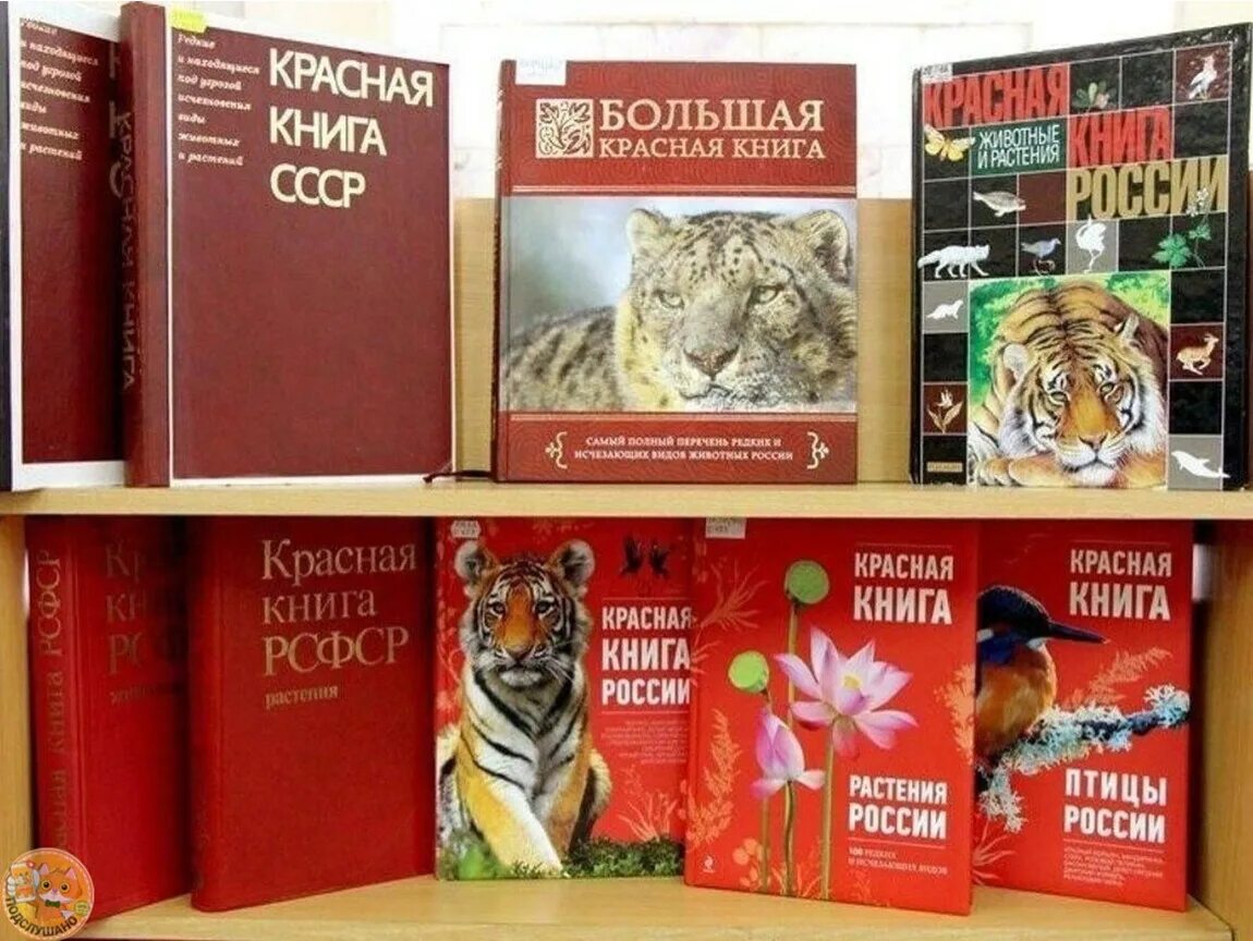 Международная книга россии. Красная книга. Красная книга России. Красный. Виды красных книг.