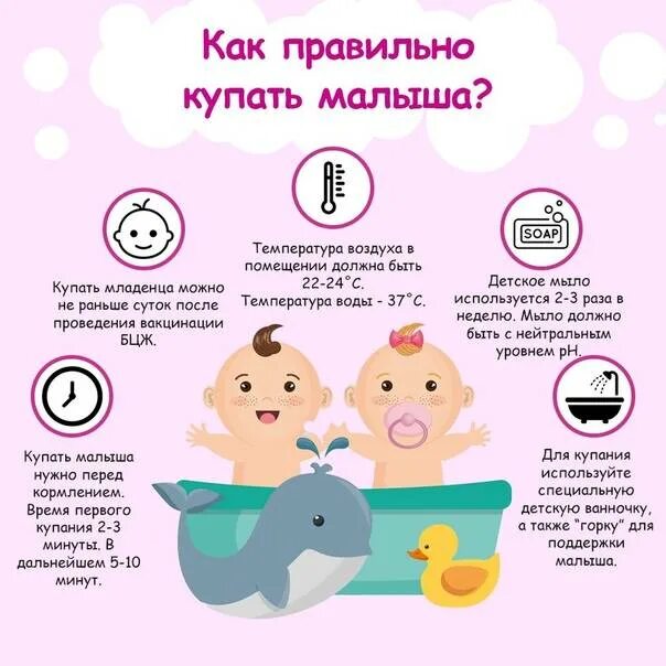 Кормить до или после прогулки