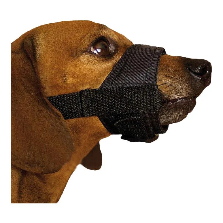 Намордник для собак. Намордник свинья для собак. Намордники для собак средних пород. Ошейник для кроличьей таксы. Намордник для собак trixie muzzle flex xl 17616, обхват морды 39 см.
