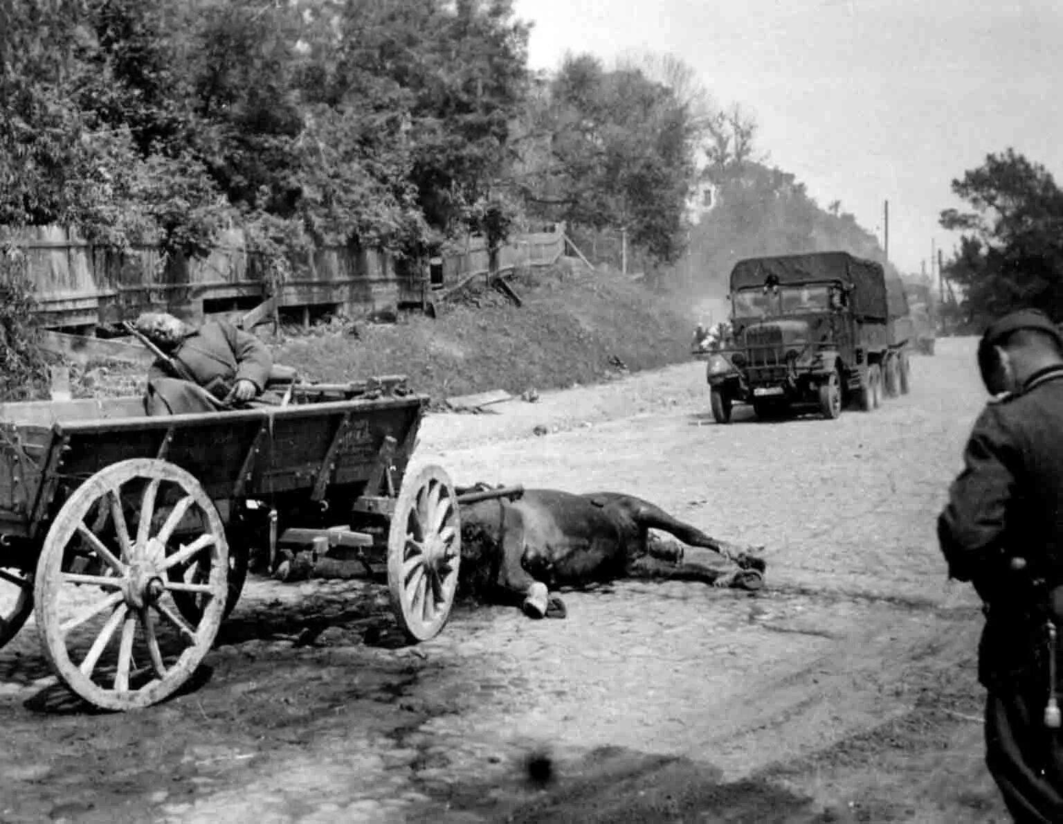 Военная телега. Первые годы войны 1941-1945. Начало войны 1941 немцы. Телеги в Великую отечественную войну.