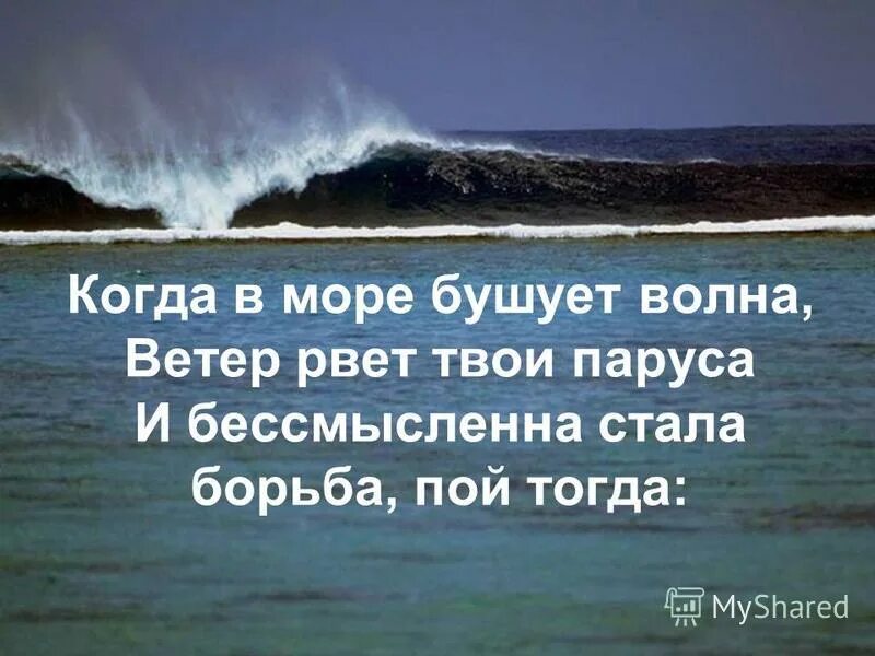 Песня бушует волна. Море шторм чайки. Раскинулось море широко песня. А на море качка и бушует ураган текст. Когда в море бушует волна, ветер рвет твои паруса.
